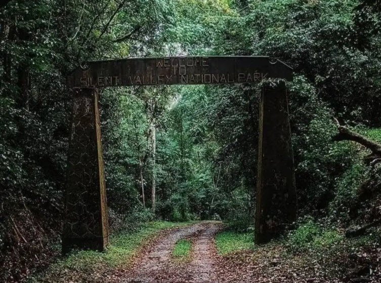 Silent Valley National Park, Palakkad, Kerala - Vushii.com Silent Valley National Park, Palakkad, Kerala - Vushii.com